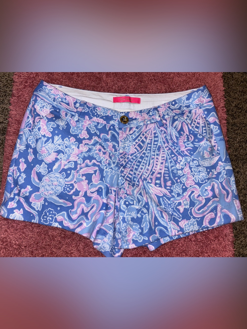 Lilly Pulitzer Pink Label Blue and Lavender Floral Skirt